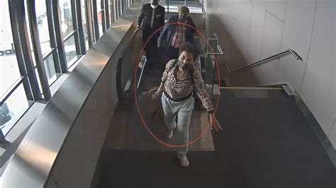 İ­s­t­a­n­b­u­l­ ­H­a­v­a­l­i­m­a­n­ı­­n­d­a­k­i­ ­y­o­l­c­u­,­ ­k­a­ç­a­k­ ­e­ş­y­a­l­a­r­l­a­ ­y­a­k­a­l­a­n­d­ı­